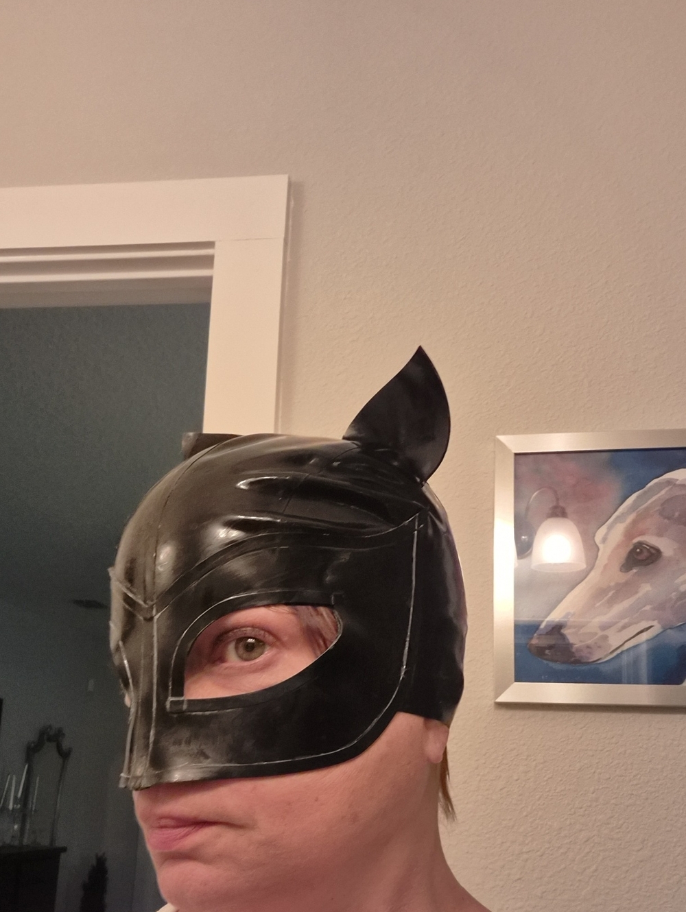 Black Latex Cat Woman Mask